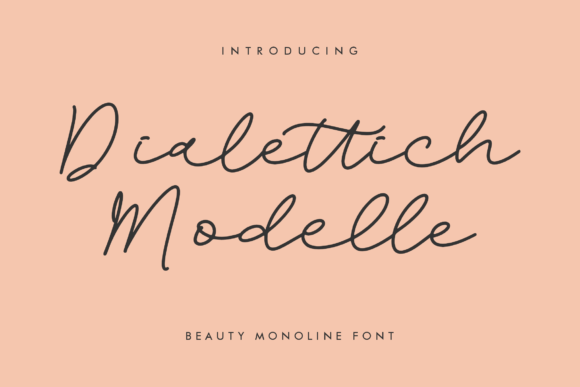 Dialettich Modelle: Turning Everyday Ideas into Elegant Visual Statements