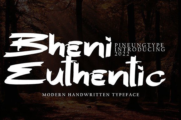 Evaluating Bheni Euthentic: A Guide for Designers